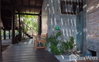 listing thumbnail image 21