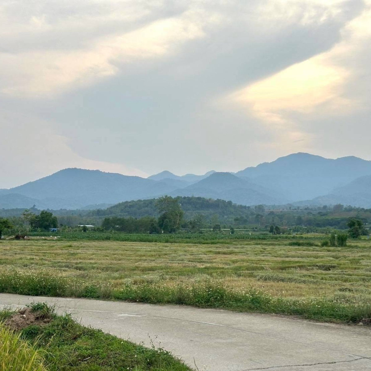 💥 ที่ดินแปลงสวย เมืองฝาง จ.เชียงใหม่ วิวเขา อากาศดี 🍃 เหมาะมากสำหรับทำบ้านสวน บ้านพักตากอากาศ หรือคาเฟ่ชิค ๆ 🌳
