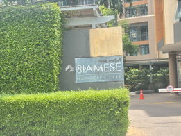 รูป Siamese Nang Linchee - รูปที่ 5/16