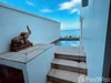 listing thumbnail image 13