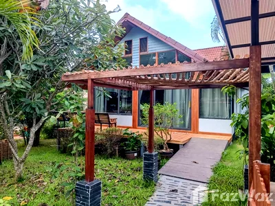 เช่าบ้านเดี่ยว เกาะสมุย สุราษฎร์ธานี : บ้านเดี่ยวให้เช่า 4 ห้องนอน ใน บ่อผุด, สุราษฎร์ธานี 1980089