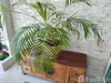 listing thumbnail image 17