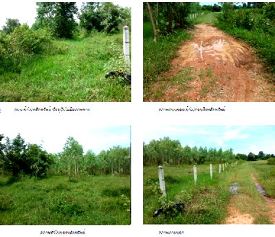 ที่ดิน เมืองสกลนคร สกลนคร : ที่ดินเปล่า 8112 ตร.วา อำเภอเมืองสกลนคร จังหวัดสกลนคร 2.8M