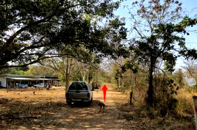 ที่ดิน ขอนแก่น : ที่ดินเปล่า 150 ตร.วา อำเภอน้ำพอง จังหวัดขอนแก่น 216,000