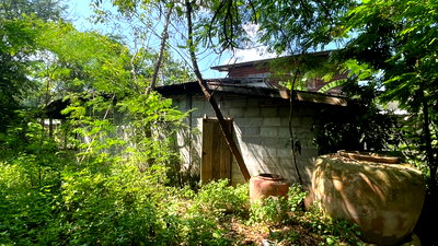 ขายที่ดิน : ที่ดินเปล่า 183 ตร.วา อำเภอเมืองอุดรธานี จังหวัดอุดรธานี 440,000