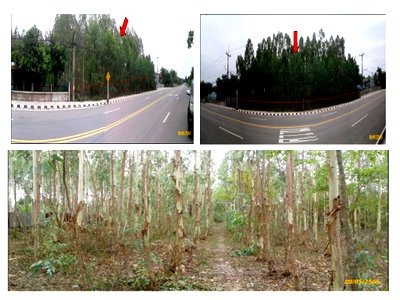 ขายที่ดิน : ที่ดินเปล่า 1567 ตร.วา อำเภอนามน จังหวัดกาฬสินธุ์ 3.3M