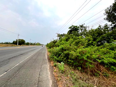 ขายที่ดิน : ที่ดินเปล่า 2246 ตร.วา อำเภอลำปลายมาศ จังหวัดบุรีรัมย์ 4.8M