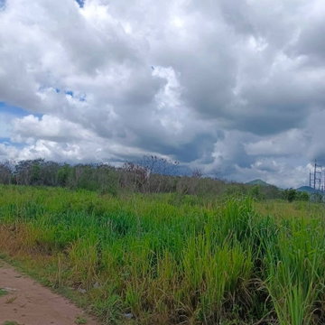 ขายที่ดินบ่อวิน ศรีราชา พื้นที่สีเหลือง แปลงสวย เขตเขาขยาย