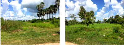 ขายที่ดิน : ที่ดินเปล่า 2601.2 ตร.วา อำเภอเมืองศรีสะเกษ จังหวัดศรีสะเกษ 8.1M