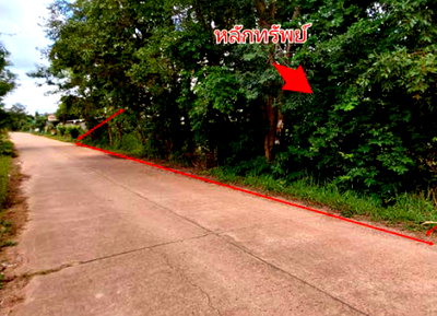 ขายที่ดิน : ที่ดินเปล่า 411 ตร.วา อำเภอเมืองบึงกาฬ จังหวัดบึงกาฬ 2.7M