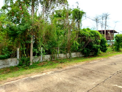 ขายที่ดิน : ที่ดินเปล่า 121.6 ตร.วา อำเภอเจริญศิลป์ จังหวัดสกลนคร 912,000