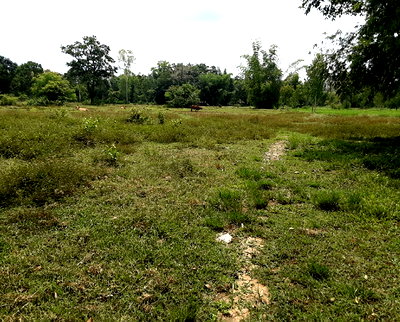 ขายที่ดิน : ที่ดินเปล่า 3667 ตร.วา อำเภออากาศอำนวย จังหวัดสกลนคร 2.5M