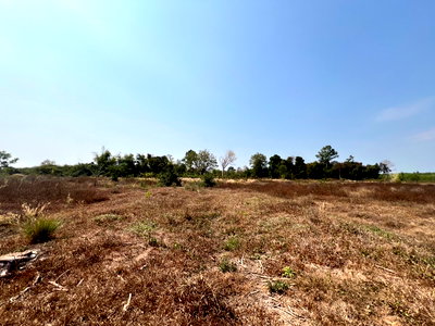 ขายที่ดิน : ที่ดินเปล่า 38092 ตร.วา อำเภอคำตากล้า จังหวัดสกลนคร 4.6M