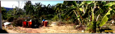 ขายที่ดิน : ที่ดินเปล่า 312.6 ตร.วา อำเภอเหนือคลอง จังหวัดกระบี่ 1.4M
