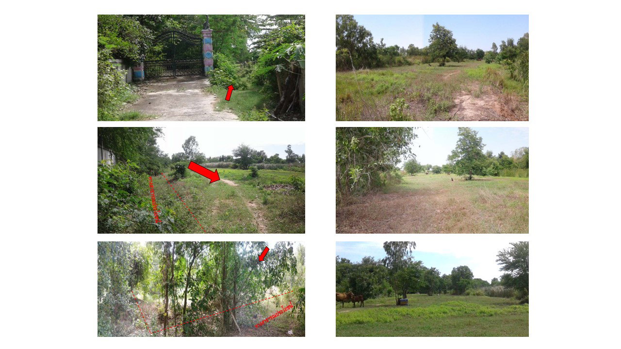 ที่ดินเปล่า 1150 ตร.วา อำเภอพยัคฆภูมิพิสัย จังหวัดมหาสารคาม 3M