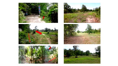 ขายที่ดิน : ที่ดินเปล่า 1150 ตร.วา อำเภอพยัคฆภูมิพิสัย จังหวัดมหาสารคาม 3M