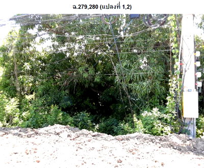 ขายที่ดิน : ที่ดินเปล่า 197.7 ตร.วา อำเภอเมืองเพชรบูรณ์ จังหวัดเพชรบูรณ์ 6.9M