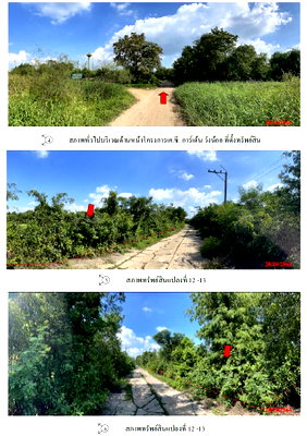 ที่ดิน แฟคตอรี่แลนด์ : ที่ดินเปล่า 1587.8 ตร.วา อำเภอวังน้อย จังหวัดพระนครศรีอยุธยา