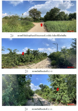 ที่ดินเปล่า 1587.8 ตร.วา อำเภอวังน้อย จังหวัดพระนครศรีอยุธยา