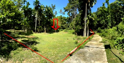 ที่ดินเปล่า 546.8 ตร.วา อำเภอเมืองภูเก็ต จังหวัดภูเก็ต 1.9M