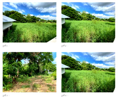 ขายที่ดิน : ที่ดินเปล่า 222.7 ตร.วา อำเภอลาดยาว จังหวัดนครสวรรค์ 557,000