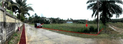 ขายที่ดิน : ที่ดินเปล่า 456 ตร.วา อำเภอท่าแซะ จังหวัดชุมพร 1.7M