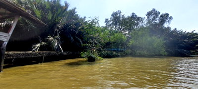 ที่ดิน วิทยาลัยเซาธ์อีสท์บางกอก : ขายที่ดินริมน้ำ ที่ดินติดแม่น้ำเจ้าพระยา บางกระเจ้า ที่ดินเกือบ 7 ไร่ ติดแม่น้ำเจ้าพระยา ใกล้ถนนเพชรหึงษ์ บางกอบัว 087-9074045