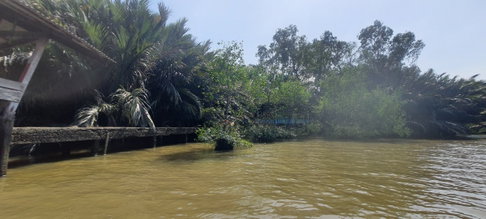 ขายที่ดินริมน้ำ ที่ดินติดแม่น้ำเจ้าพระยา บางกระเจ้า ที่ดินเกือบ 7 ไร่ ติดแม่น้ำเจ้าพระยา ใกล้ถนนเพชรหึงษ์ บางกอบัว 087-9074045
