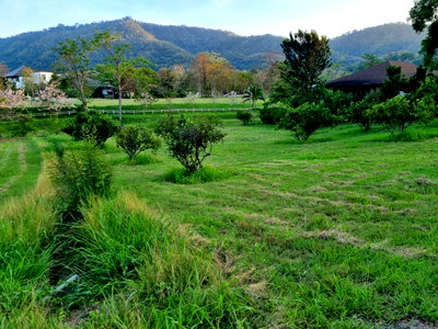 ที่ดิน นครราชสีมา (โคราช) : ขายที่ดินเขาใหญ่ หมูสี 391ตร.ว วิวอุทยานเขาใหญ่สวยละมุนมาก โครงการมลดา Monlada ติดเส้น3052 ใกล้ธนะรัชต์ ทางขึ้นอุทยาน ใกล้คีรีมายา ปากช่อง 087-9074045