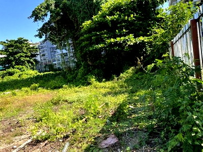 ที่ดิน วิทยาลัยเซาธ์อีสท์บางกอก : ขายที่ดินสุขุมวิท50 ใกล้ BTSอ่อนนุช ที่ดินสุขุมวิท บางจาก เนื้อที่ 49.2 ตร.ว ทำเลดีมาก สภาพแวดล้อมดี ใกล้ทางด่วน ขายถูก หายากมาก 0879074045