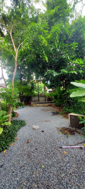 รูป ขายบ้านเดี่ยว บรรยากาศร่มรื่น เคซี เนเชอรัลวิวล์ รามคำแหง 142 เนื้อที่ 83.2 ตร.ว. - รูปที่ 2/11