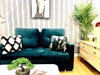 listing thumbnail image 10