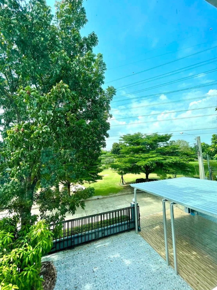 picture Perfect Masterpiece Rama             9 - 3/15