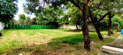 ขายที่ดิน : Land for Sale – Windmill Park Village
