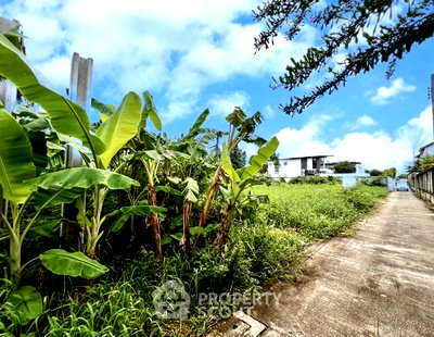 ที่ดิน วิทยาลัยศิลปหัตถกรรมกรุงเทพ : ที่ดินเพื่อขาย ทำเลคลองจั่น บางกะปิ กรุงเทพมหานคร รองรับสัตว์เลี้ยง (ID 1712403)