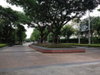 listing thumbnail image 11
