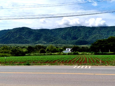 ขายที่ดิน : ขายที่ดินเขาใหญ่ ติดถนน3052 หมูสี ปากช่อง ที่ดิน 4 ไร่ติดถนนใหญ่ ใกล้ธนะรัชต์ ทางไปทอสคานา ใกล้คีรีมายา วิวอุทยานเขาใหญ่สวยมาก บ้านเลือดไทย 0879074045
