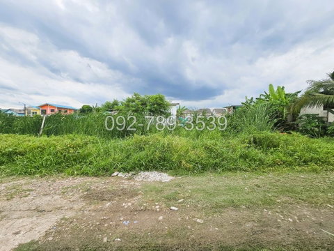 ขายที่ดินสายไหม72 แปลงเล็ก 50 ตร.วา เหมาะปลูกบ้าน ราคาถูกมาก รีบจองด่วน