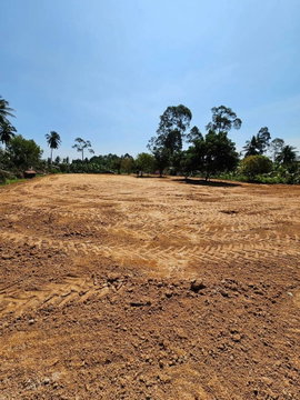 Land for sale in Pattaya, EEC zone, Huai Yai District, Bang Lamung, Chonburi