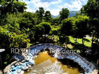 ขายกิจการ : ขายรีสอร์ทกิจการเขาใหญ่ ปากช่อง ที่ดินติดเขา ต้นไม้ใหญ่  446 ตร.ว ธนะรัชต์ ท่าช้าง หมูสี เหมาะทำรีสอร์ท ร้านอาหาร คาเฟ่ ใกล้น้ำผุด อุทยาน 0879074045