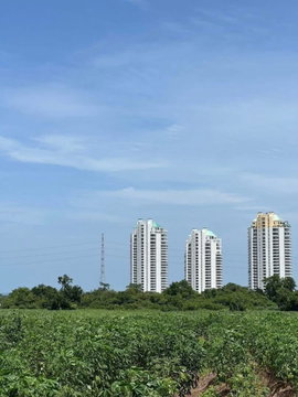 ขายที่ดินบางพระ ศรีราชา แปลงสวย ใกล้อ่างเก็บน้ำบางพระ