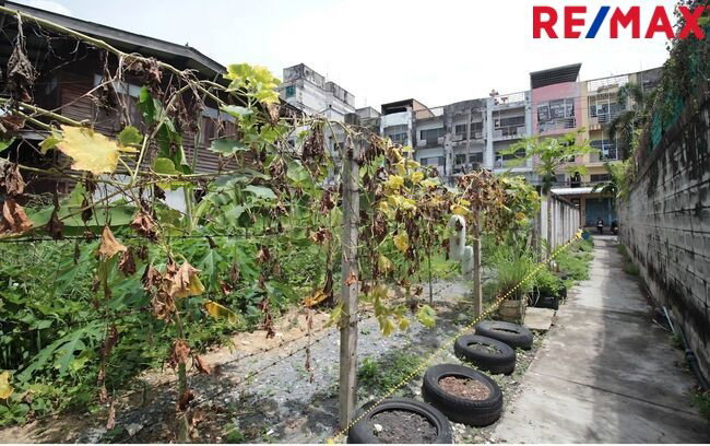 รูป ขายที่ดิน จรัญสนิทวงศ์ 25 ใกล้สถานีรถไฟฟ้า ถมแล้ว  - รูปที่ 11/11