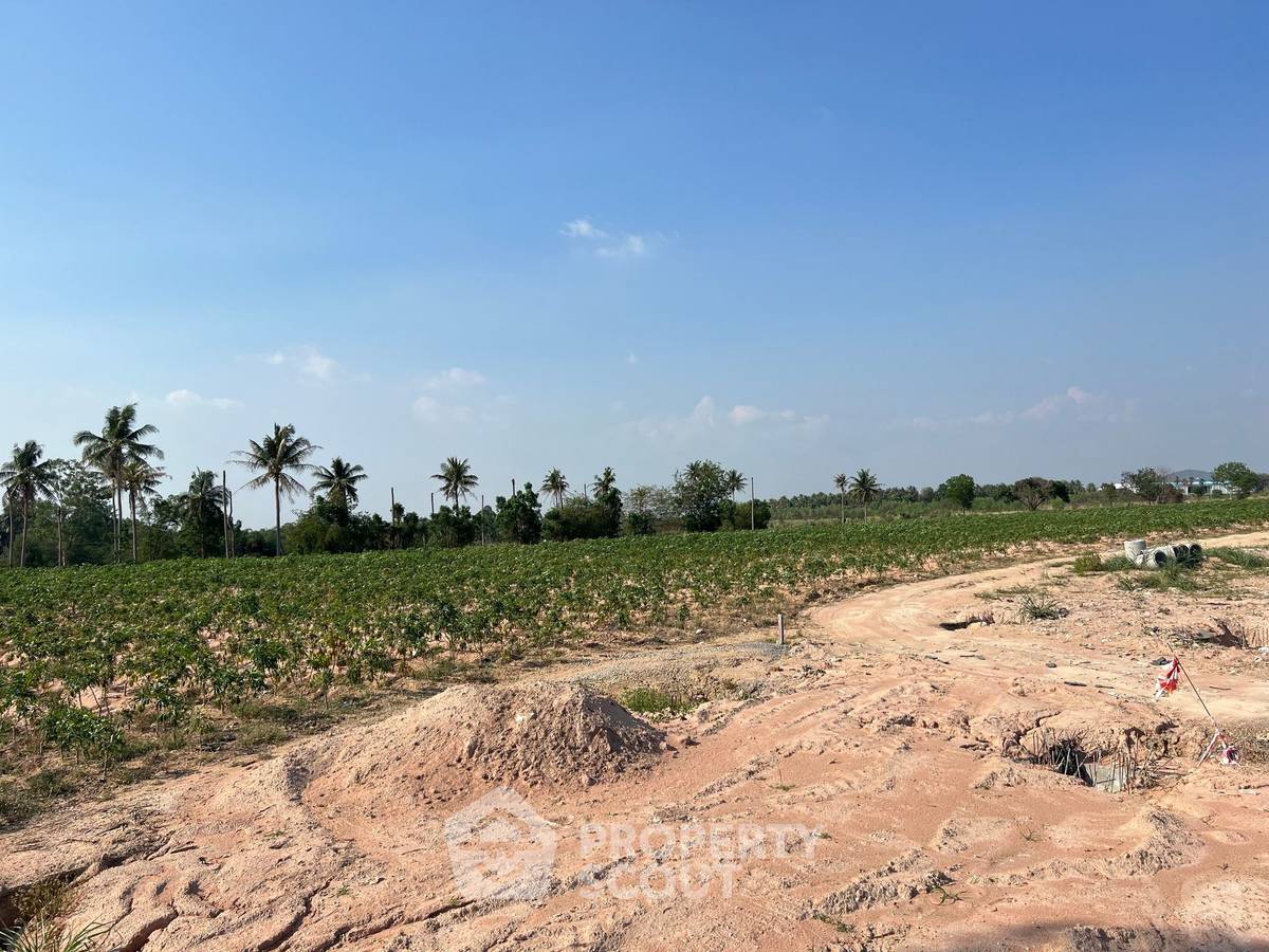 รูป ที่ดินขาย ในแหลมฉบัง บึง ศรีราชา ชลบุรี (ID 1233823) - รูปที่ 1/5