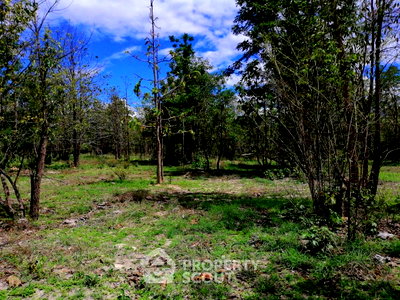 Land for sale Chiang Mai : Land For Sale In Hot Hot, Chiang Mai (ID 1369053)