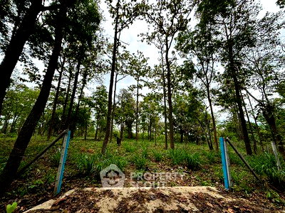 Land for sale Chiang Mai : Land For Sale In Mae Raem, Mae Rim Chiang Mai (ID 1728952)