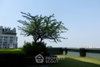 listing thumbnail image 56