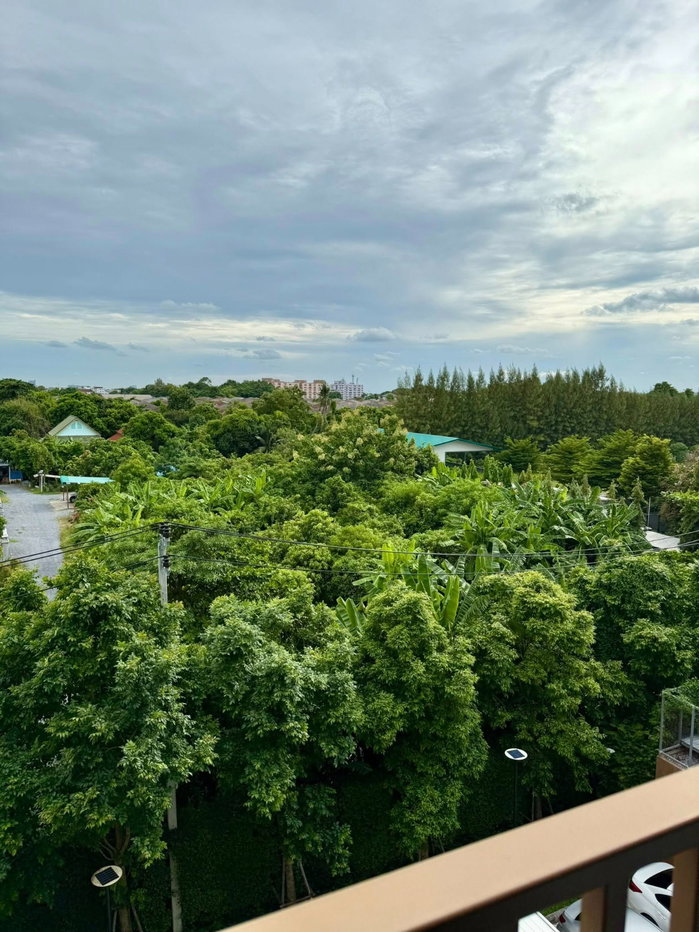 picture @Condorental condo for rent dcondo panaa  - 10/12