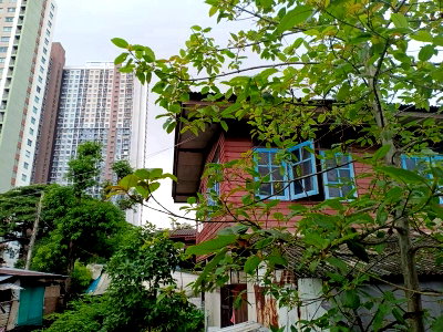 ที่ดิน แอร์พอร์ต ลิงค์ หัวหมาก : ขายที่ดินพัฒนาการ 51 ติดถนนตรงโรงพยาบาลวิภาราม 