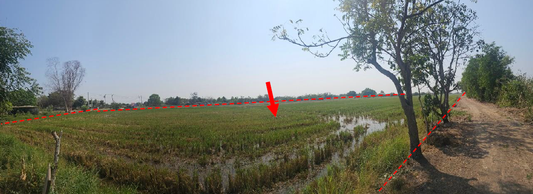 picture LAND 16160 Sq.w. Khlong Luang Pathumthani for 113.8M - 7/15