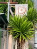 listing thumbnail image 19
